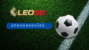 แทงบอลออนไลน์ กับ LEO88 ค่าน้ำดีที่สุดในเอเชีย